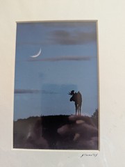 Set of 4 Wildlife/Nature Photographs by Jim Stamates, 4″x6″, Matted to 8″x10″