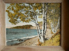 M.J. HUMPHREY, Grand Marais, MN MINNESOTA BIRCHES ON LAKE SUPERIOR HAND TINTED