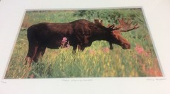 Moose Smelling Flowers Framed 2/100 Photo Signed Willie Holdman 12 1/4″X9 3/4″