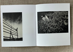 Rare Unreleased PHOTO BOOK – WITHDRAWN COVER ‘Eikoh Hosoe Photographs 1960-1980’