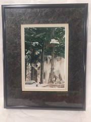 Gray Wolf Framed 4×6 Photograph Signed Numbered #309 Werner 8 X 10 Frame