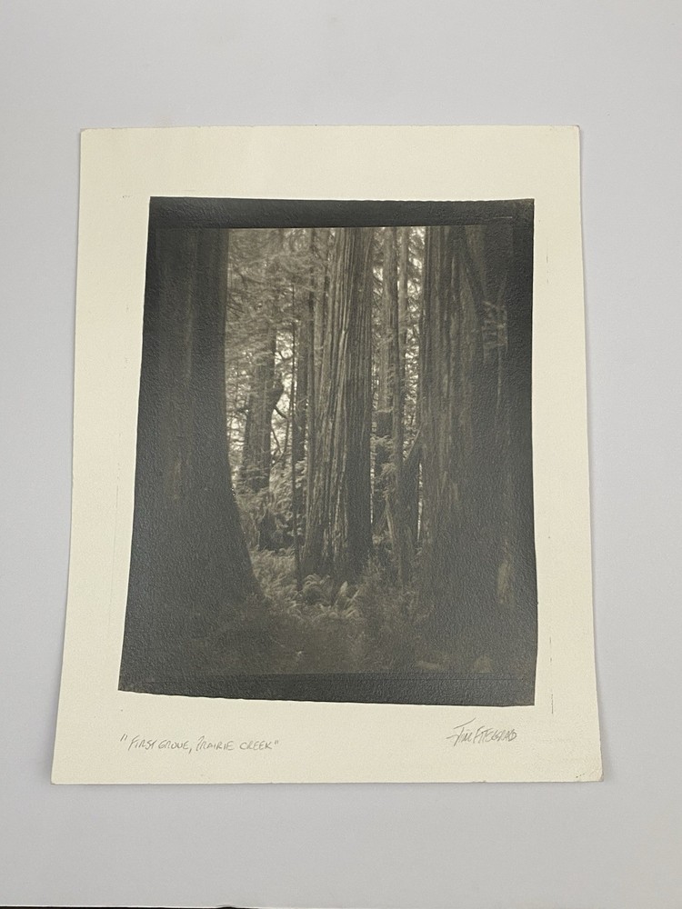 Jim Fitzgerald First Grove Prairie Creek Signed Photograph Carbon Transfer