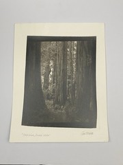 Jim Fitzgerald First Grove Prairie Creek Signed Photograph Carbon Transfer