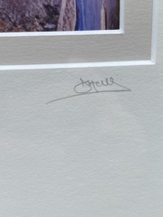 Signed Limited Edition Photograph Portuguese Flower Pot Portugal 2/250 Framed