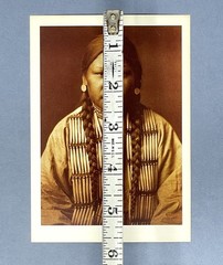 Cheyenne Girl 1905 Photograph by Edward S. Curtis (1868-1952) Art Print Card