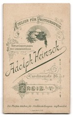 Photograph Adolph Heinsch, Greiz i. V., Carolinenstr. 36, Elegant Lady With Bri