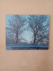 Original Photo Canvas Print. Titled “Winter Morning.” 16×20 Inches.