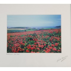 Mike Brown Photography Poppyfield West Cork Signed Framed Art Irish Landscape