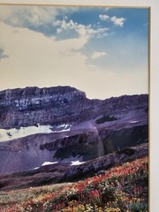 Signed Limited Edition Aaron Goldenberg 35mm Art Photograph, Utah 39×24 Framed