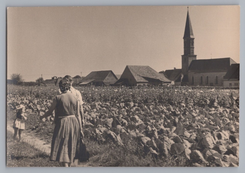 Waldhausen Aalen Church Village Kohlfeld Old Photo