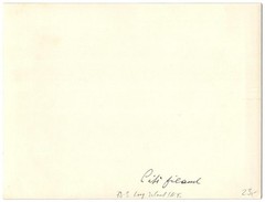 Photograph New York City / City Island, view of the island with newly built ha