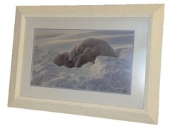 Polar Bears Carl R. Sams II Signed 25.25” x 35.25″ Framed