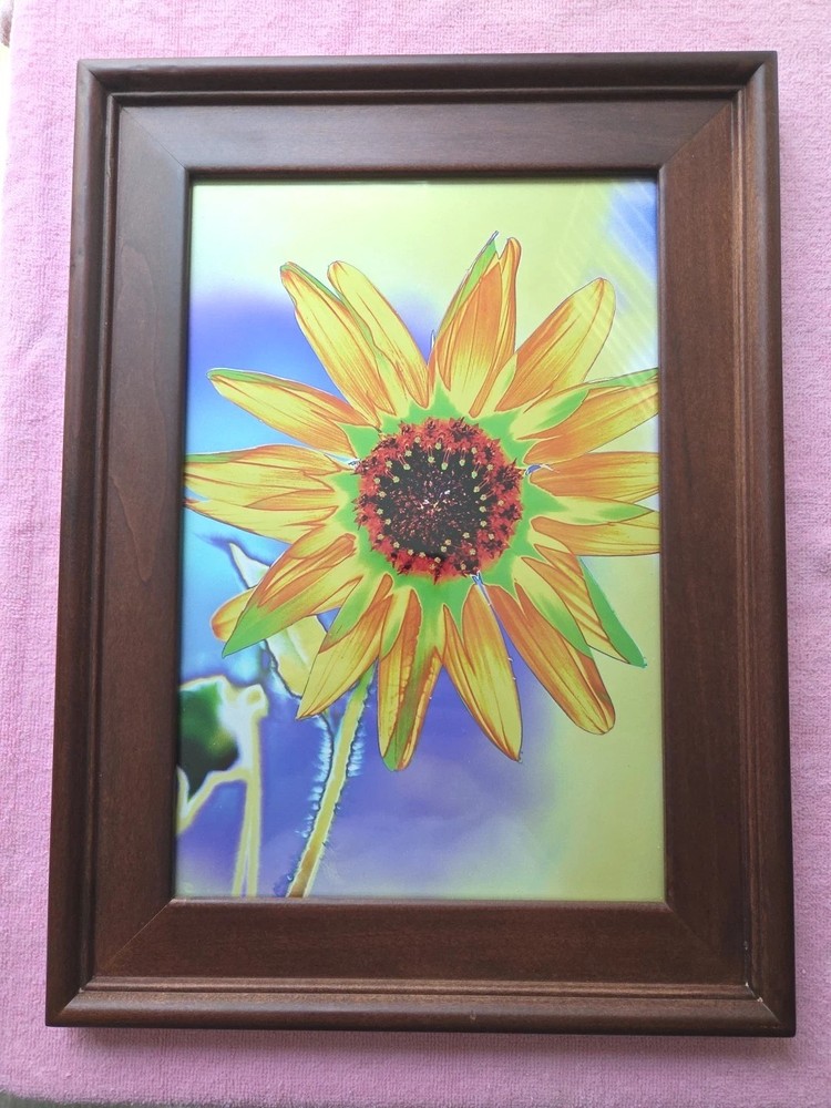 Photo Print Abstract on Metallic Paper 8×12 In Frame 11.5 X 15.5 In.