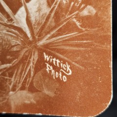 Vintage BEN WITTICK Navajo Print / Photo New Mexico 1860s Native American Indian