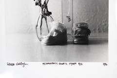 Vintage Photo Art Metamorphosis Aquatic Nymph 9/35 By Rebecca Gallagher 4/96