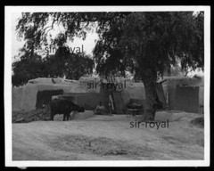 Lahore in Pakistan 1959 – Cabins Dwelling Slum – 1950s – Photo 9x7cm