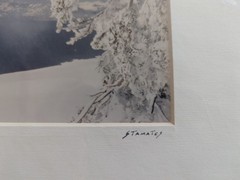 Set of 4 Wildlife/Nature Photographs by Jim Stamates, 4″x6″, Matted to 8″x10″