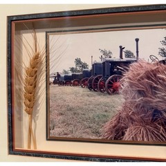 Elsie Macklin Vintage McCormick Deering Tractor Photo Wheat Shadowbox Framed Art