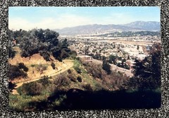 ELYSIAN PARK Vintage 1990s PHOTO California ICONIC VIEW
