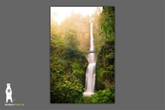 Multnomah Falls, Oregon Waterfalls, Columbia River Gorge, Pacific Northwest
