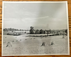 Arthur Gray Standard Oil Photographer Cleveland Ohio Americana Haystacks Monet!!
