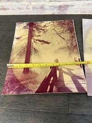 Vintage Photographer Alexandre Nodopaka Photo California Signed Lot Of 3 Rare