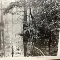Blair Pittman: “Old River” – Original Gelatin Silver Print Photograph