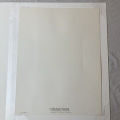 MICHAEL KENNA Signed GREENHOUSE Toned Gelatin Silver Print LIMITED EDITION 1979