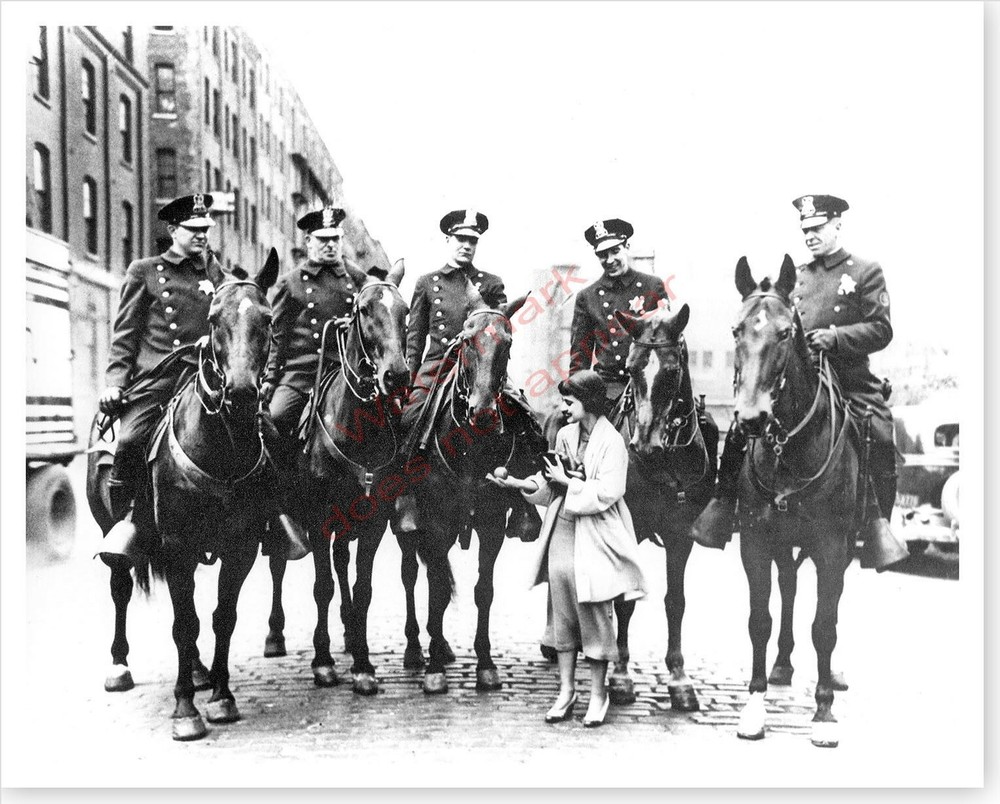 Chicago Police Department Girl With Apples For Horses Mounted Unit Photo