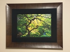Peter Lik Inner Peace 794/950