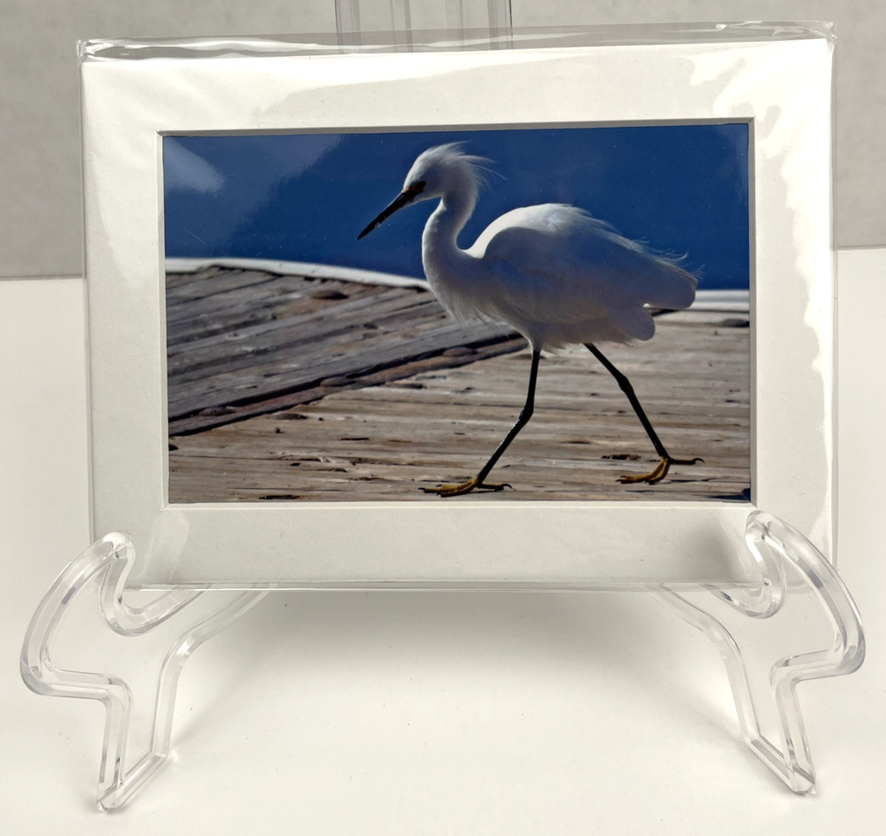 Snowy Egret Sea Bird Art Photography Matted 7×5 Inch Dock Beach Decor