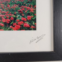 Mike Brown Photography Poppyfield West Cork Signed Framed Art Irish Landscape