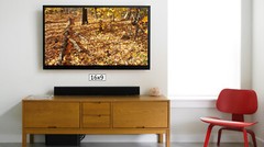 Fall Forest Leafy Ground 2, High Resolution Image, Many Formats, TV Art