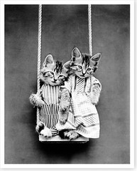 Anthropomorphic Kittens Cats Wearing Clothes Share A Swing Silver Halide Photo