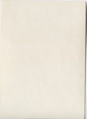 Z5342 Photo 1970s Artistic Nude Pretty Women Woman