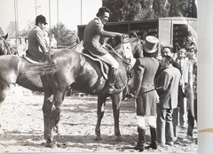 Vintage Film Photo France Equestrian Horse Show Jumping 18X24cm 1970