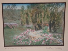 PETUNIAS RUN WILD Wallace Nutting Hand-tinted Photograph BRILLIANT Unfaded Color