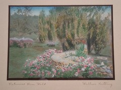 PETUNIAS RUN WILD Wallace Nutting Hand-tinted Photograph BRILLIANT Unfaded Color