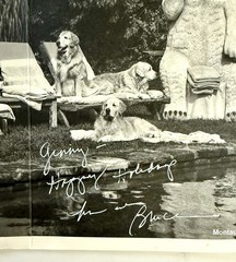 Pair of Bruce Weber Original SIGNED Cards Photographs 2016 & 2019 Dogs Rare