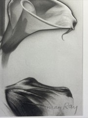 MAN RAY PHOTO B&W PRINT “CALLA LILIES, 1930” “Apple” Dada Abstract Art Genius
