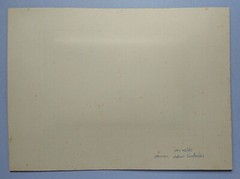 Old Picture Family Photo Hermann Arthur Lindacher Men Woman around 1900