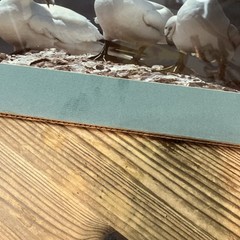 VTG 1982 Art Photography “Gannets Three” Sea Birds Matted Signed Beach Decor