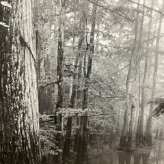 Blair Pittman: “Old River” – Original Gelatin Silver Print Photograph