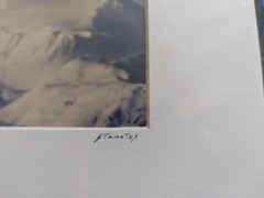 Set of 4 Wildlife/Nature Photographs by Jim Stamates, 4″x6″, Matted to 8″x10″