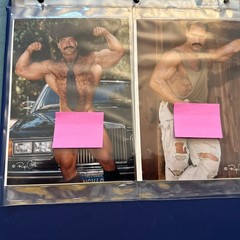 Carl Hardwick Jim French Colt Studio Lot of 18 5×7 Color Prints Nude Gay