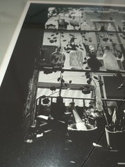Johnny Donnels Glass Window Garden Signed New Orleans Photo Cracked Glass w/ Bio