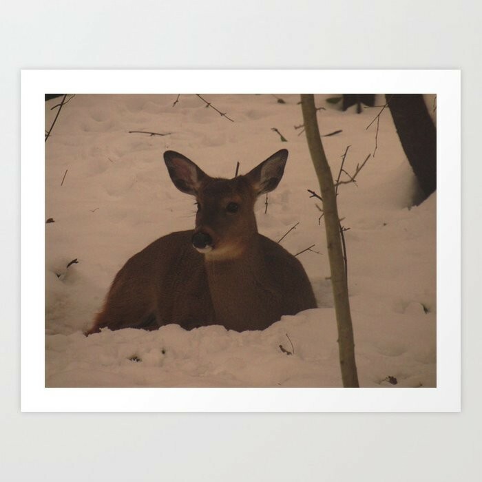 art print 28″ x 22″ Doe in the Snow sepia-toned winter snow deer animals nature