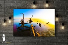 Driftwood Beach Décor Art Prints – Big Talbot Island, Boneyard Beach, Florida