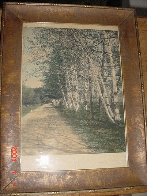 RARE OLD HAND TINTED PHOTOGRAPH THE LIGHT SIDE OF THE ROAD WALLACE NUTTING