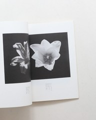 The Fallen Angels I Love Art III Photography Exhibition Catalog 1996 Used Japan